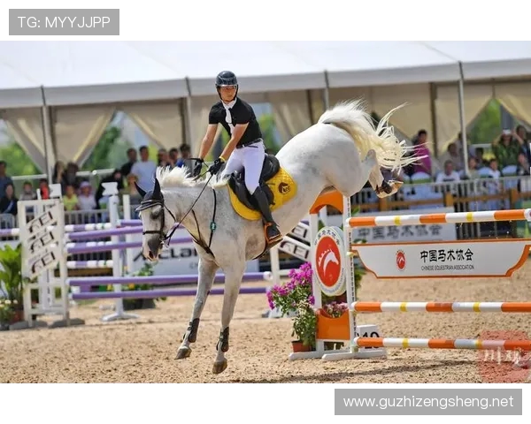 姜志祥勇夺国际马联场地障碍世界杯中国联赛年度总冠军书写历史